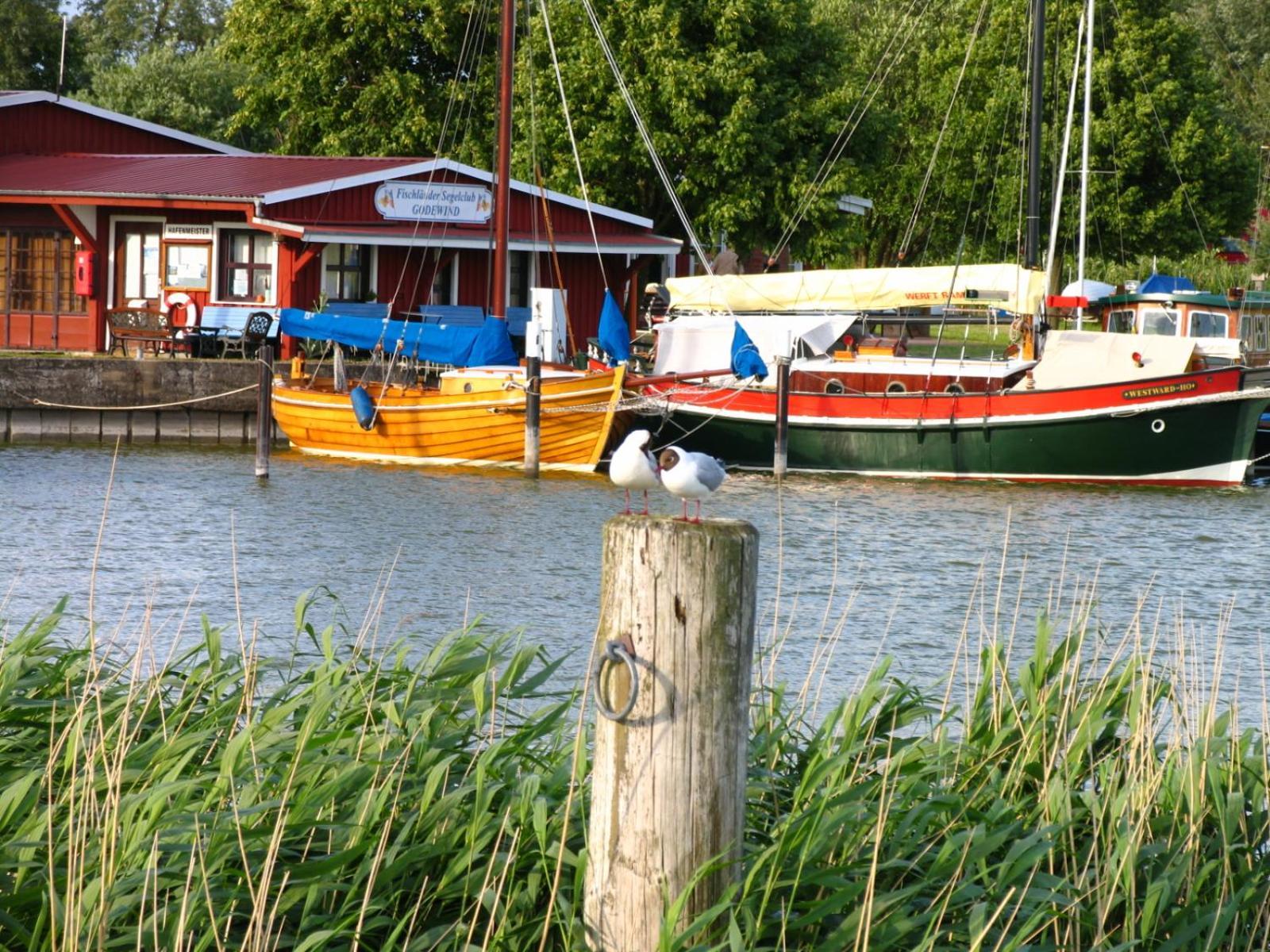 Haus Ostseenixe 01 Wustrow  Eksteriør bilde